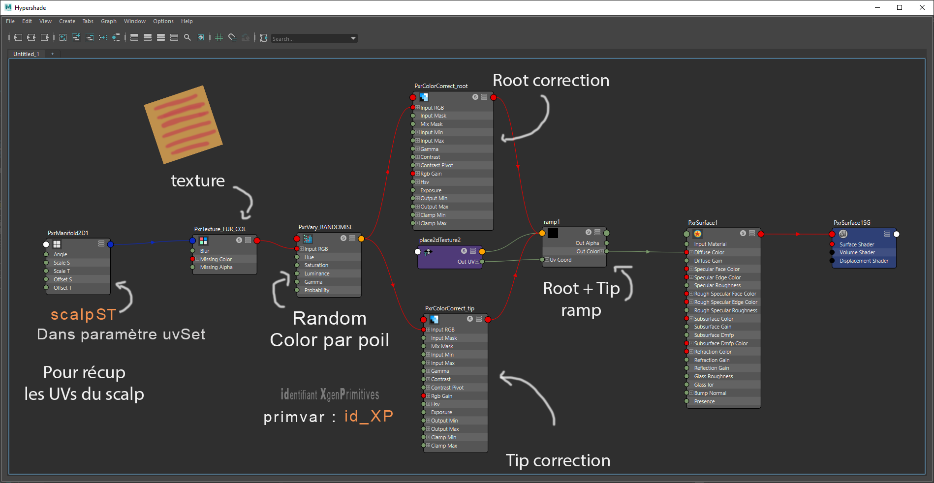 Branchement_shader_color_Xgen02.png