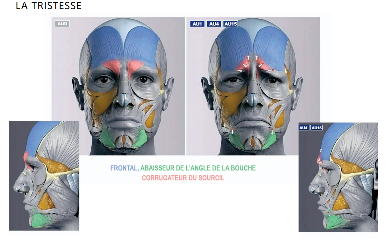 Capture d'écran 2024-10-26 114113.png