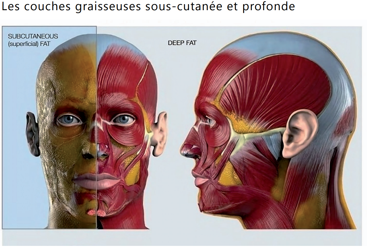 Capture d'écran 2024-10-26 201544.png