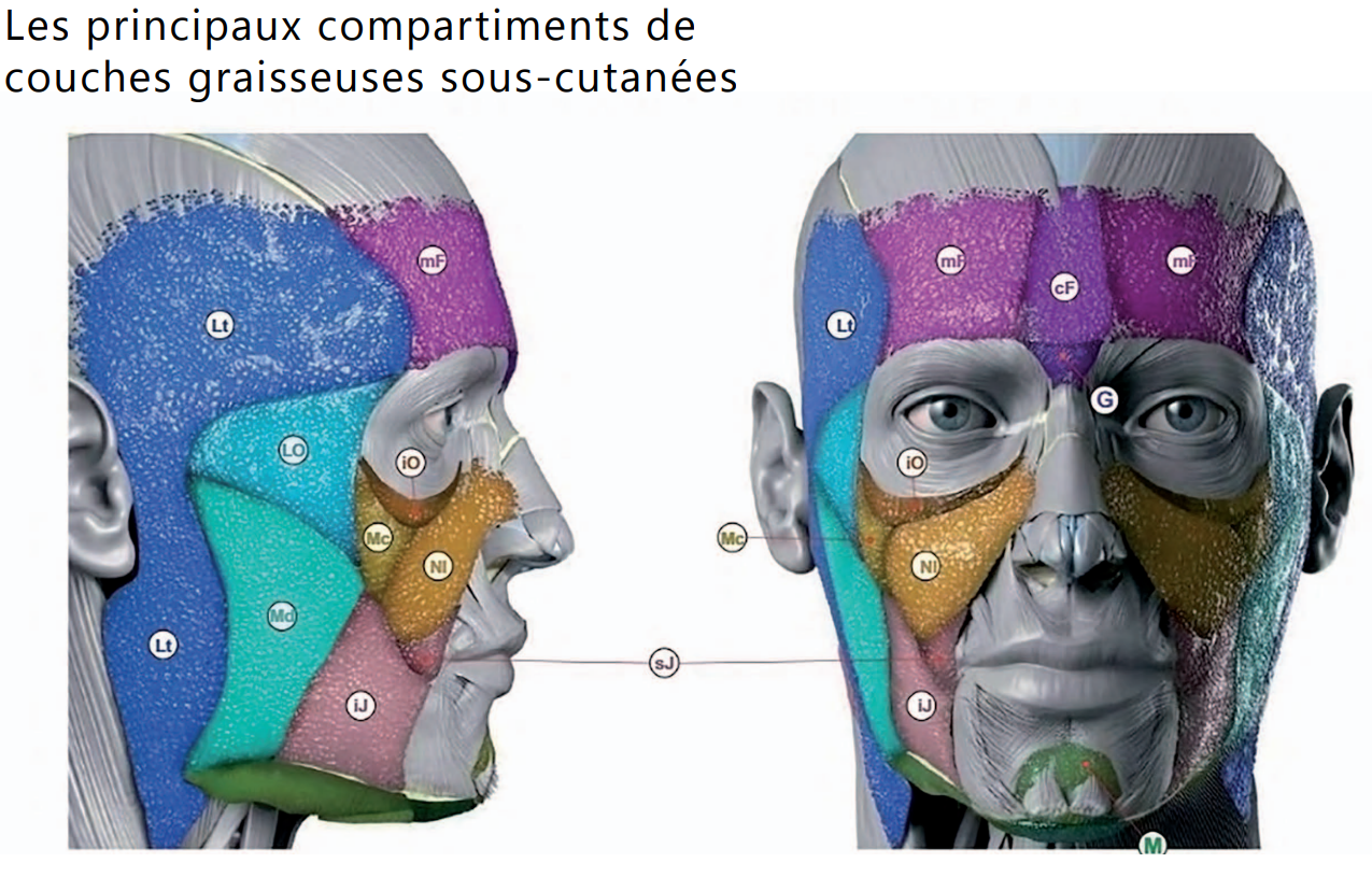 Capture d'écran 2024-10-26 201605.png