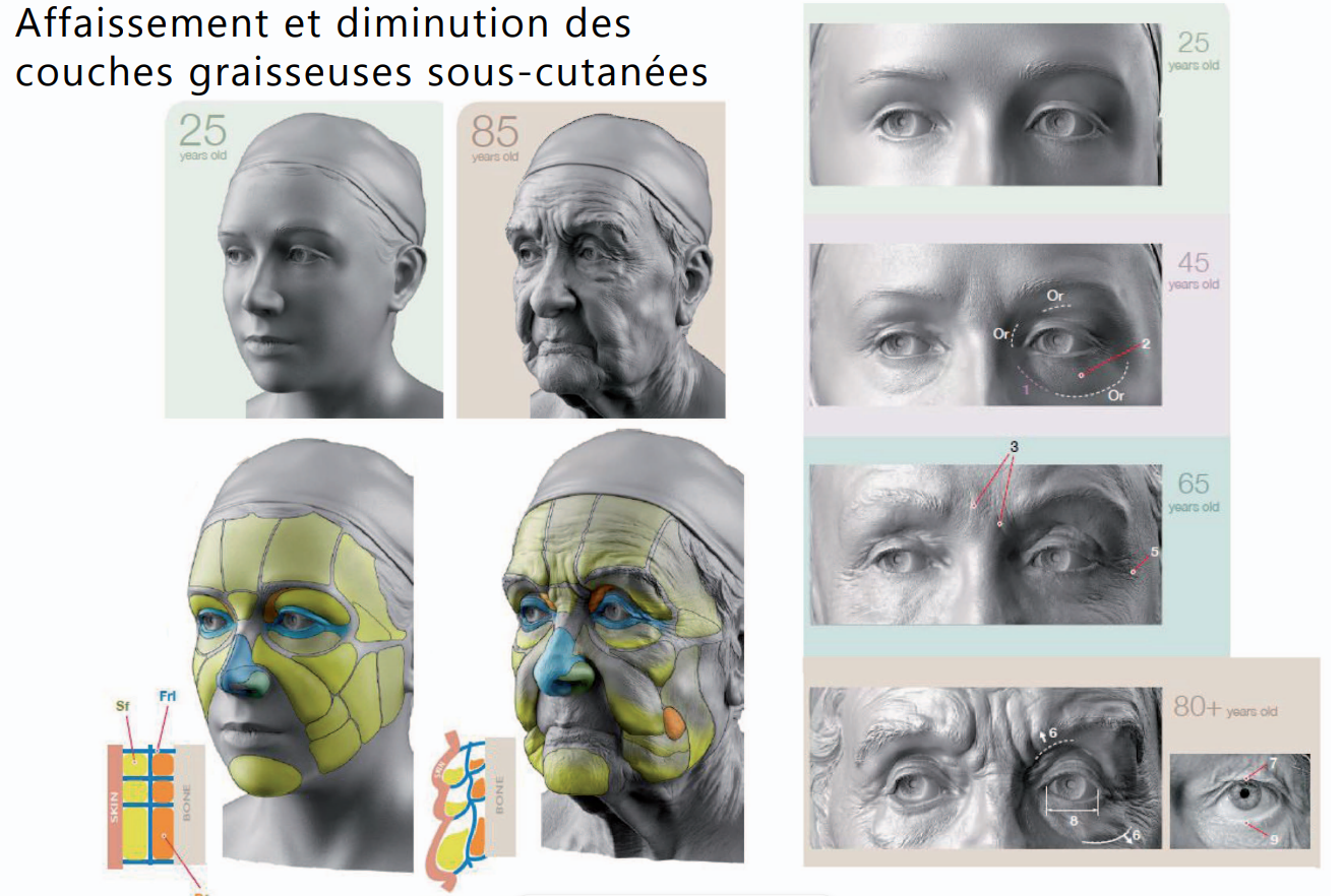 Capture d'écran 2024-10-26 202738.png