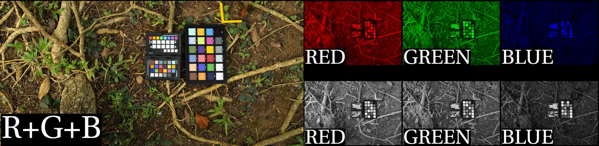 Pasted image 20241108070511.png