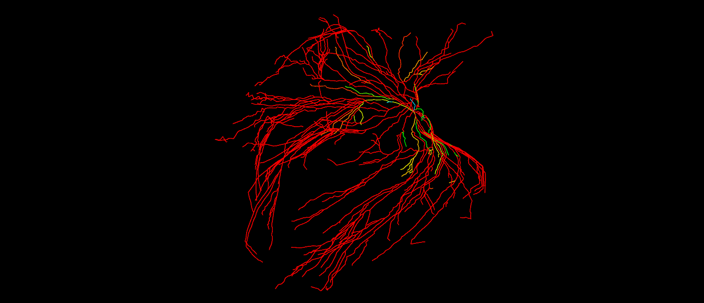 Pasted image 20260213151105.png